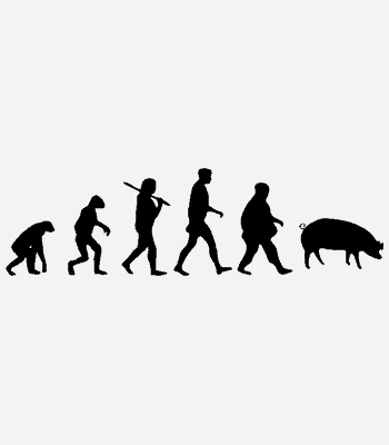 Potisk trička Evoluce prase